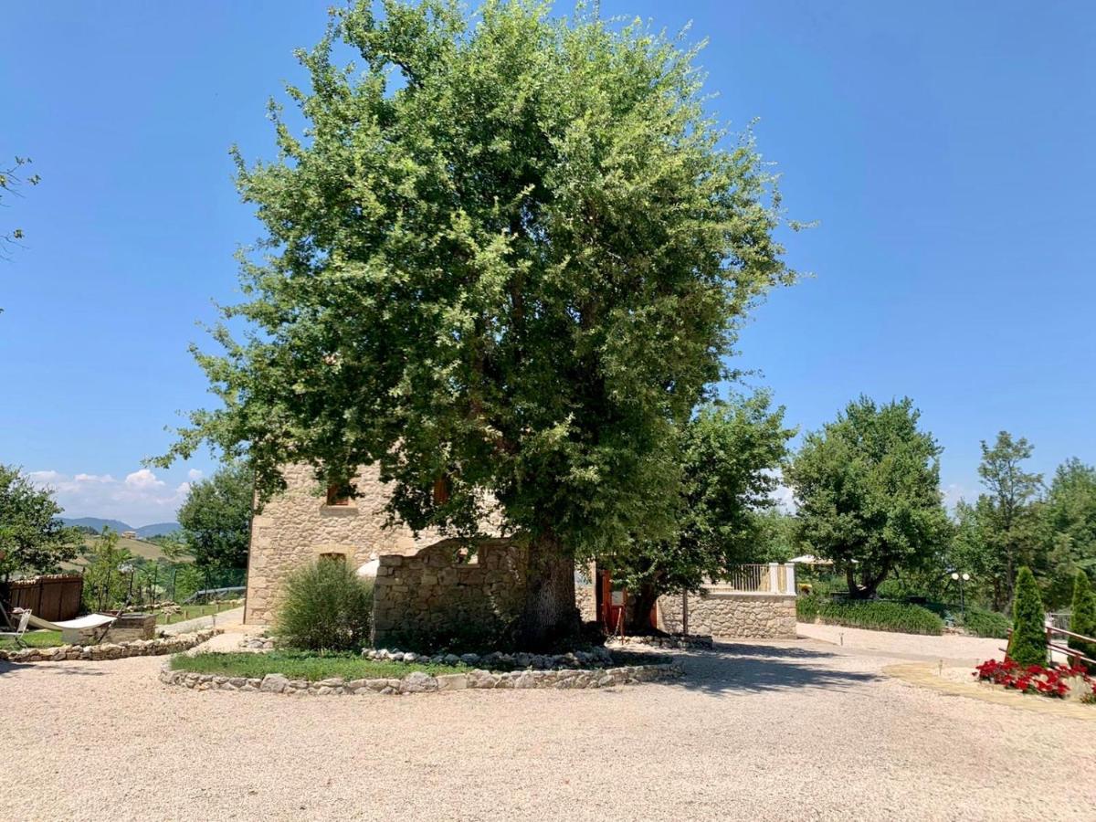 La Quercia B&B Abbateggio Exterior photo